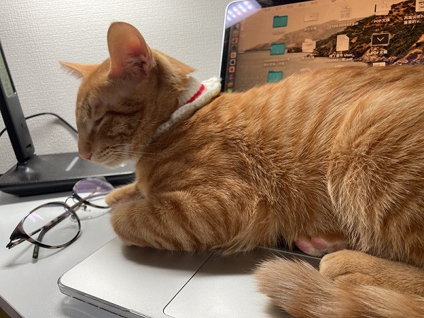 How this project helps me?